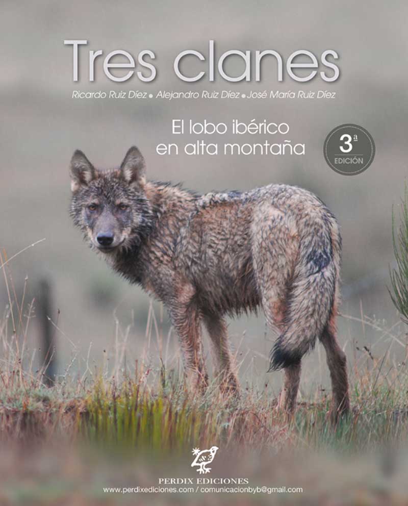 Tres Clanes El lobo ibérico en alta montaña tercera edición