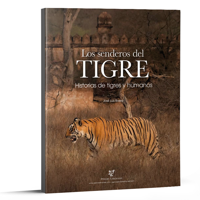 globo caridad suave Los senderos del Tigre . HISTORIAS DE TIGRES Y HUMANOS - Perdix Ediciones